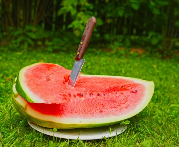 Outdoor still life with water melon and knife