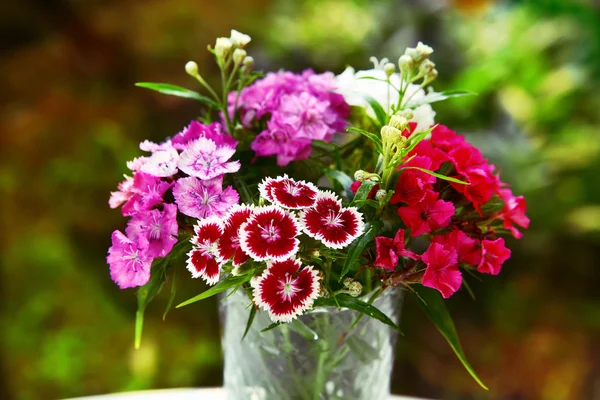 Wild carnation decorative bouquet on the summer sunny garden background