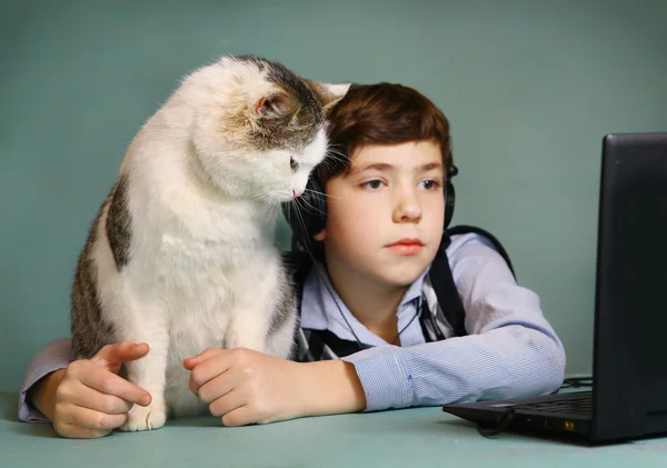 Boy and cat watch movie  computer