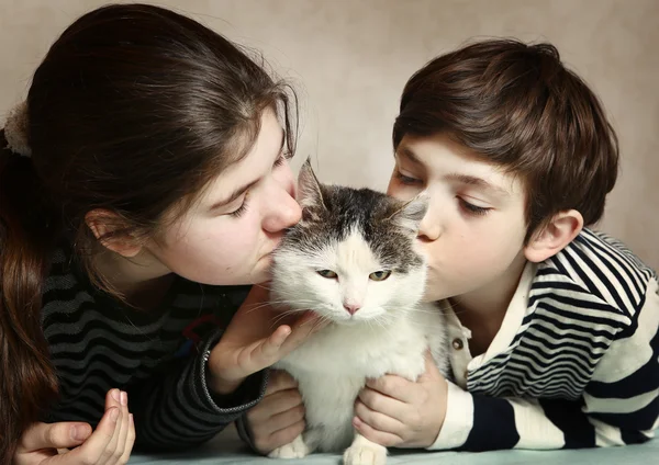 siblings boy and girl kiss siberian fat cat