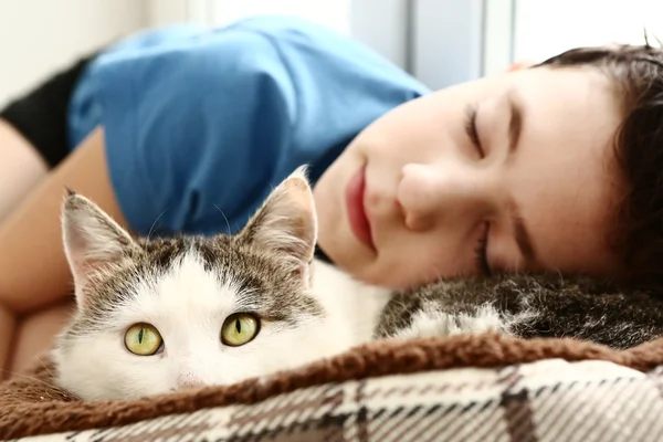 boy sleep beside pet siberian male cat