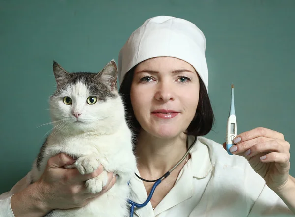 Veterinarian woman take care of the cat