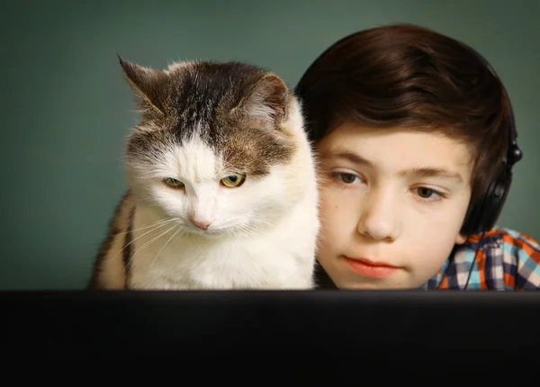 Boy and cat watch movie on  computer