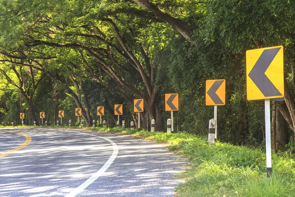 Trees and Curve road