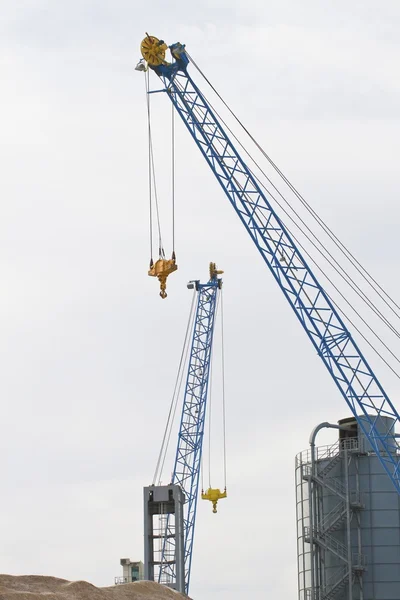 Blue crane in a construction site