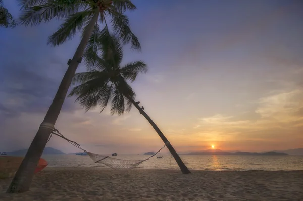 Sunrise with coconut palm trees and hammock on tropical beach background at Phayam island in Ranong province