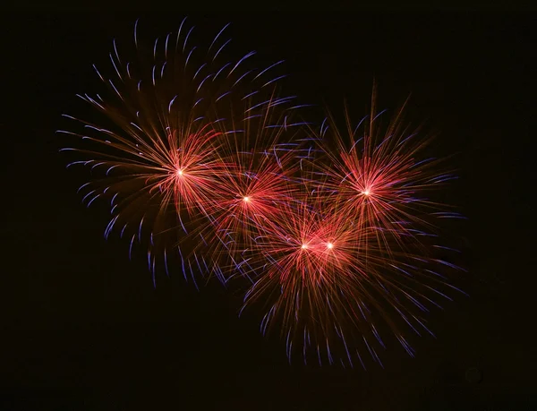 Multicolored fireworks background, fireworks festival, Independence day, fireworks