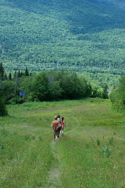 People hiking in the mountains, in Beaupre, Quebec province, Canada. Walking trip in mountains. Summer sport activity in Quebec. Trekking in Canada. Panoramic scene of canadian nature
