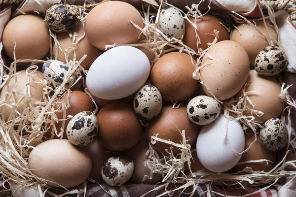 Different kind of raw eggs in a basket