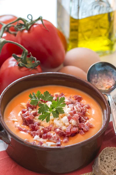 Tomato salmorejo soup in a bowl, detail, spanish food