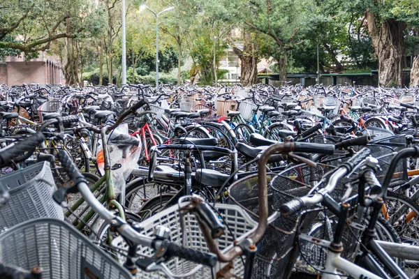 A sea of parked bicycles