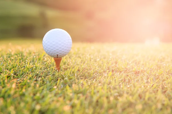Golf ball on a tee against the golf course with copy space