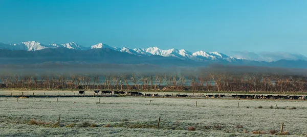 Frosty Winter Farm