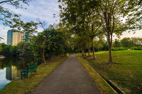 Pathway and tree on beautiful green city park