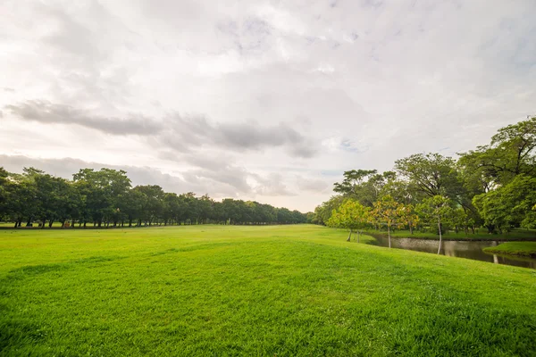 Green grass meadow field on public central park with tree cloud