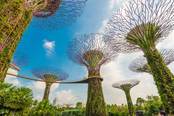 Gardens by the Bay in Singapore.