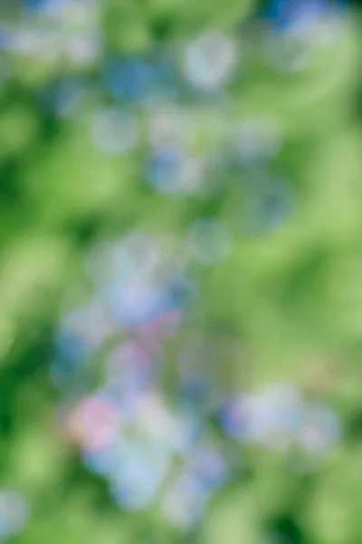 Beautiful sparkling abstract pink, green and blue nature bokeh