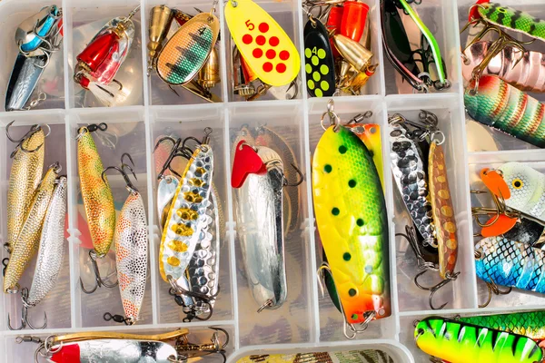Colorful fishing lures and accessories in the box