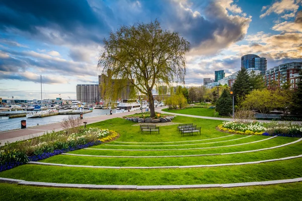 The Toronto Music Garden, at the Harbourfront in Toronto, Ontari