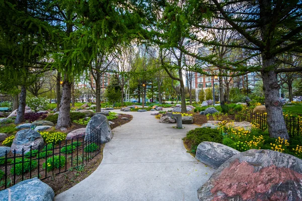 Trees and gardens along a walkway at the Toronto Music Garden, a