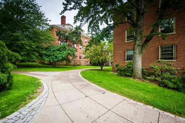 Brick buildings and walkway on the campus of Brown University, i