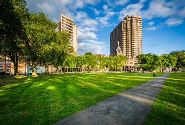 Walkway at the New Haven Green and buildings in downtown, in New