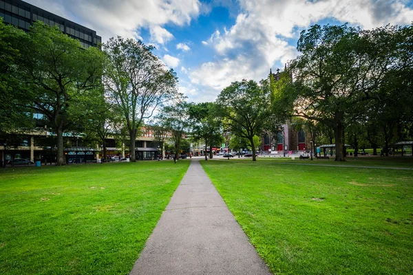 Walkway at the New Haven Green and buildings in downtown, in New