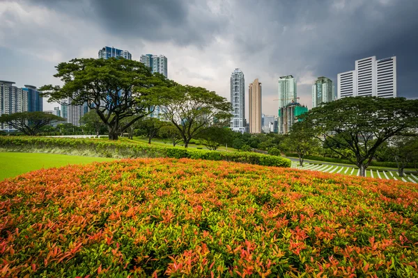 Gardens and modern buildings in the distance at the Manila Ameri