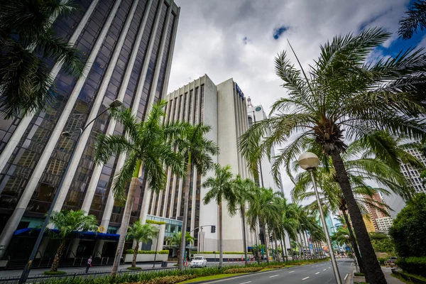 Palm trees and buildings along Makati Avenue, in Makati, Metro M