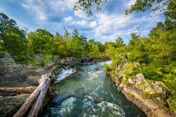 Rapids in the Potomac River at Great Falls, seen from Olmsted Is