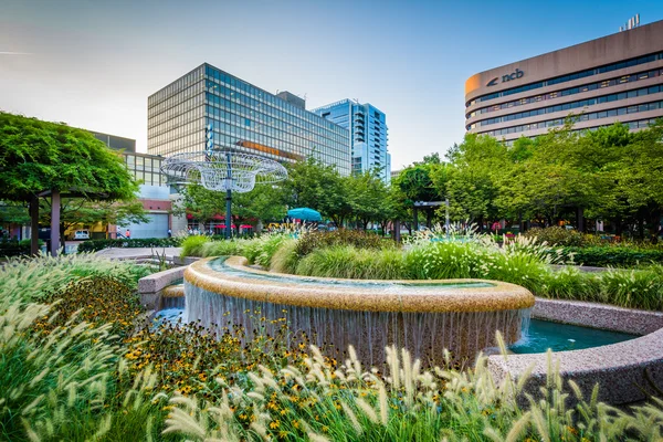 Fountains and modern buildings in Crystal City, Arlington, Virgi