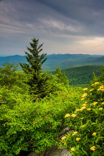 Evening view from Rough Ridge, near the Blue Ridge Parkway in No