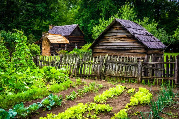 Vegetable garden and buildings at the Mountain Farm Museum in th