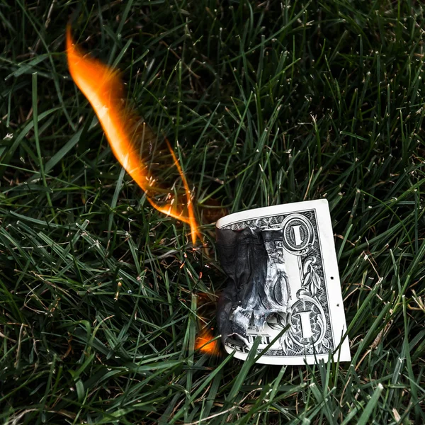 A burning dollar bill in the grass.
