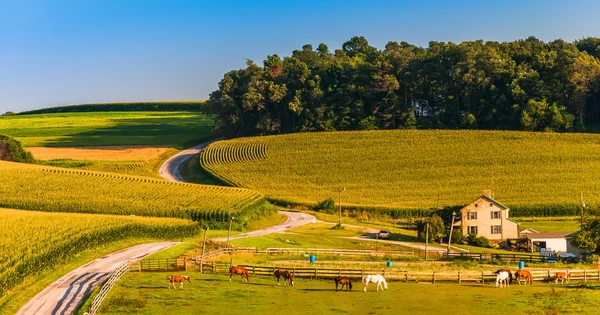 Horse farm and country road on a hill in rural York County, Penn