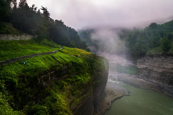 Morning fog in the gorge at Letchworth State Park, New York.