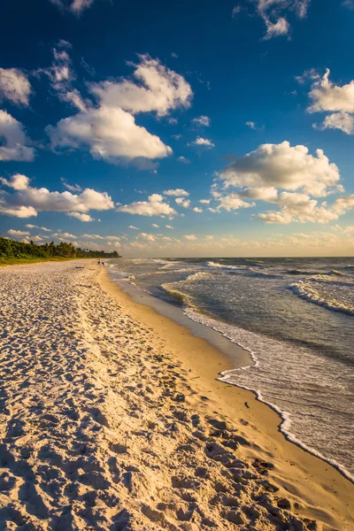 Evening light at the beach in Naples, Florida.