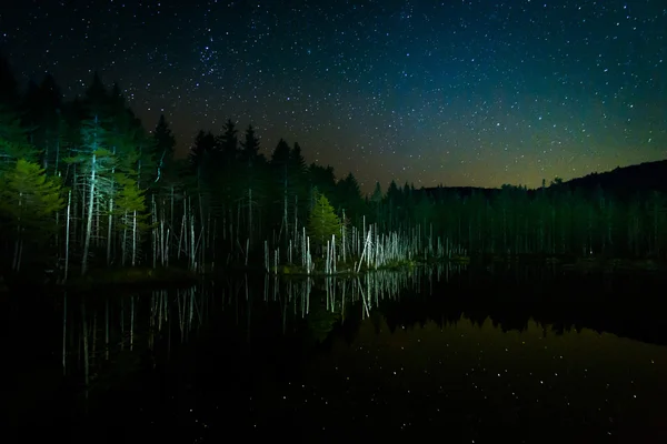 Stars in the night sky reflecting in Deception Pond at night, in