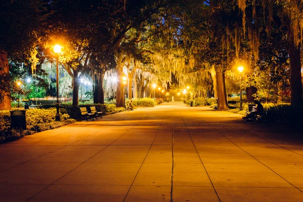 Oak trees and path at night in Forsyth Park, Savannah, Georgia.