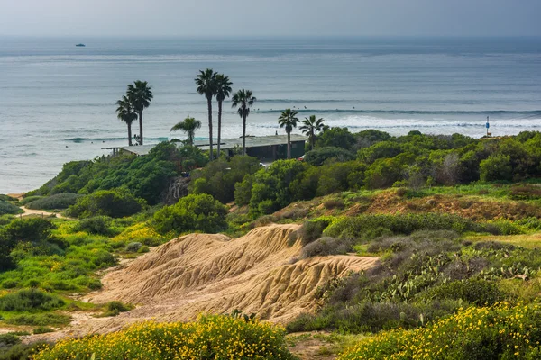 Palm trees and house on a cliff above the Pacific Ocean, seen fr