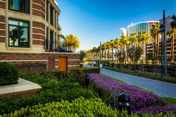 Gardens and buildings along the MLK Promenade in San Diego, Cali