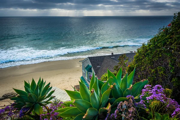 Garden and house overlooking the Pacific Ocean, in Laguna Beach,