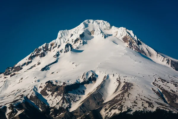 View of Mount Hood, from Tom, Dick, and Harry Mountain, in Mount