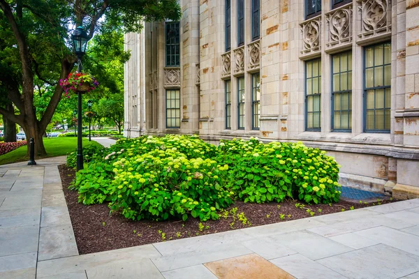 Gardens outside the Cathedral of Learning, at the University of