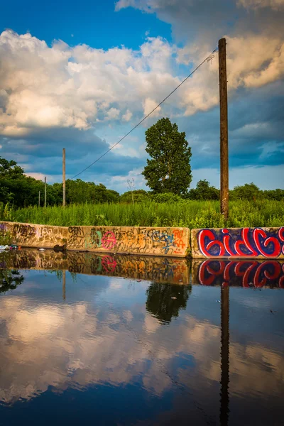 Graffiti and evening sky reflecting in a puddle in Philadelphia,