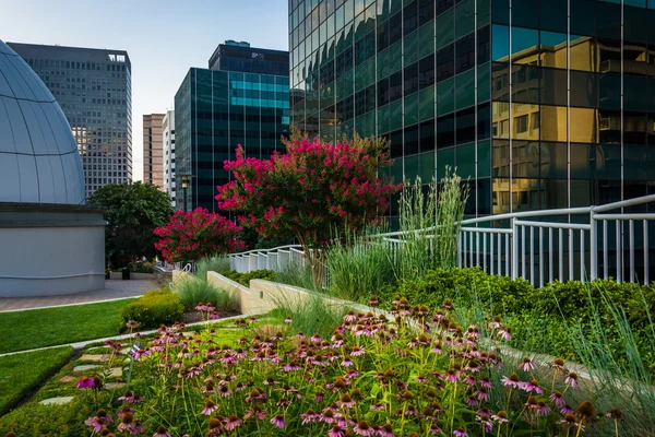 Garden and modern buildings at Freedom Park, in Rosslyn, Virgini