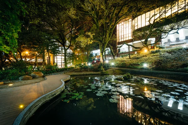 Small pond and modern buildings at night, from Hong Kong Univers