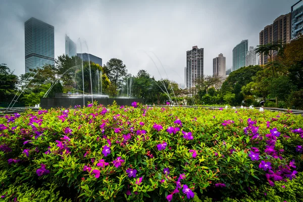 Flowers and fountain at Hong Kong Zoological And Botanical Garde