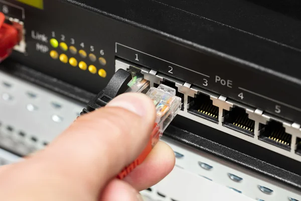 Computer Technicians Hand Inserting Cable Into Switch