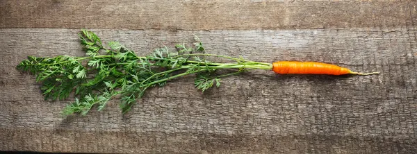 Organic fresh carrot